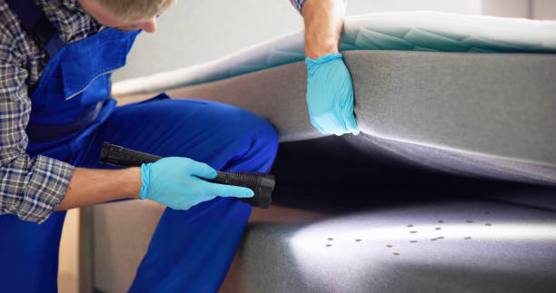 Best Pest Removal Services  in Cornwall On Hudson, NY