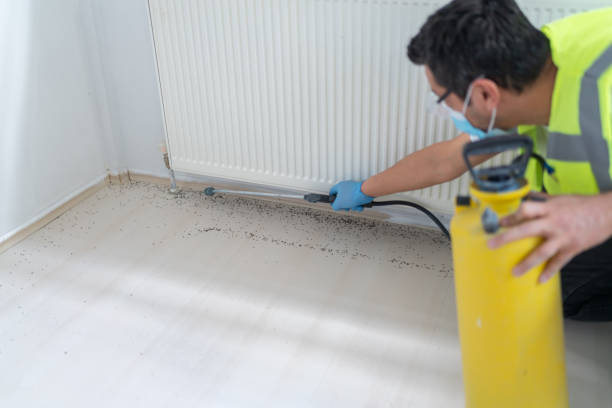 Best Bed Bug Extermination  in Cornwall On Hudson, NY